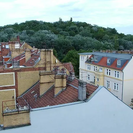 Park & Alex 4 2 Bathrooms 2 Kitchen *